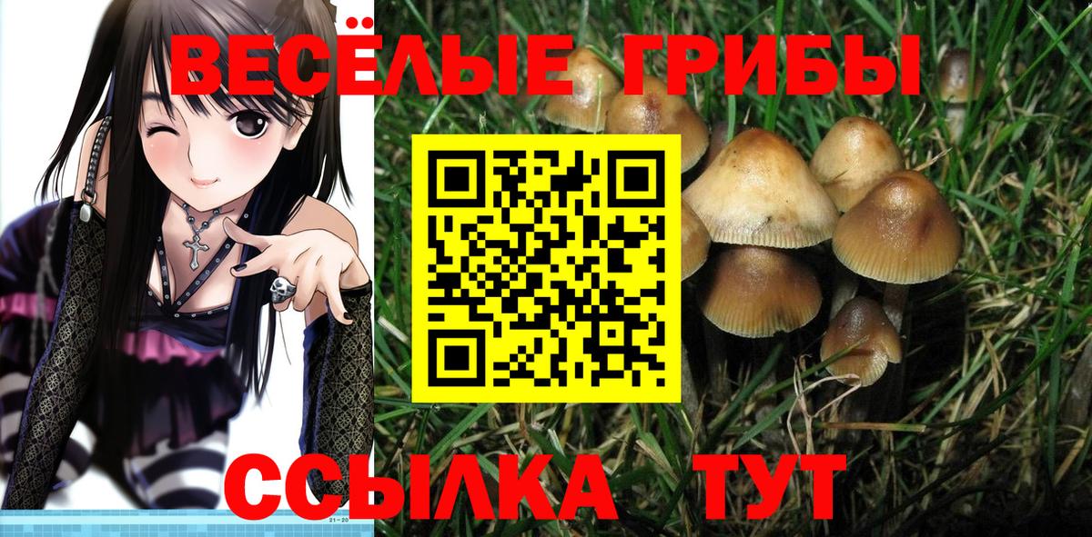 что такое наркотик  Вход с VPN  Сургут  Галлюциногенные грибы Magic Shrooms  Псилоцибиновые грибы GOLDEN TEACHER 